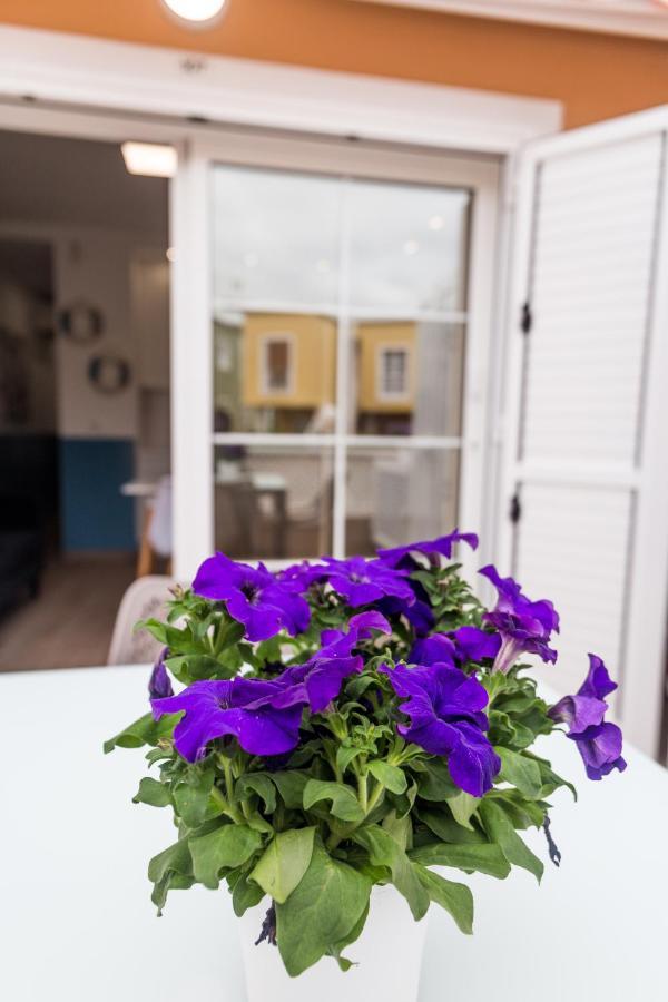 Apartment Orlando Tenerife Sur Pluto Costa Adeje  Εξωτερικό φωτογραφία